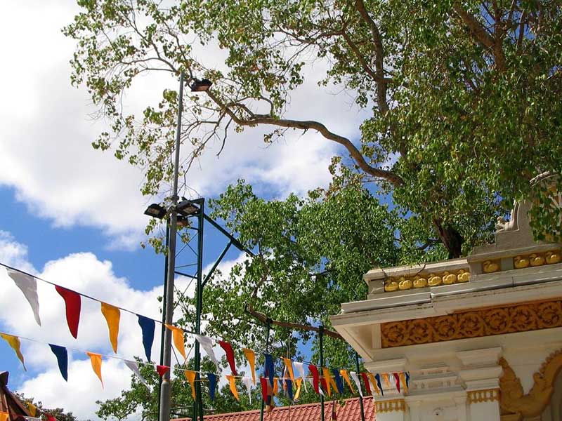 Anuradhapura Sacred City Tour