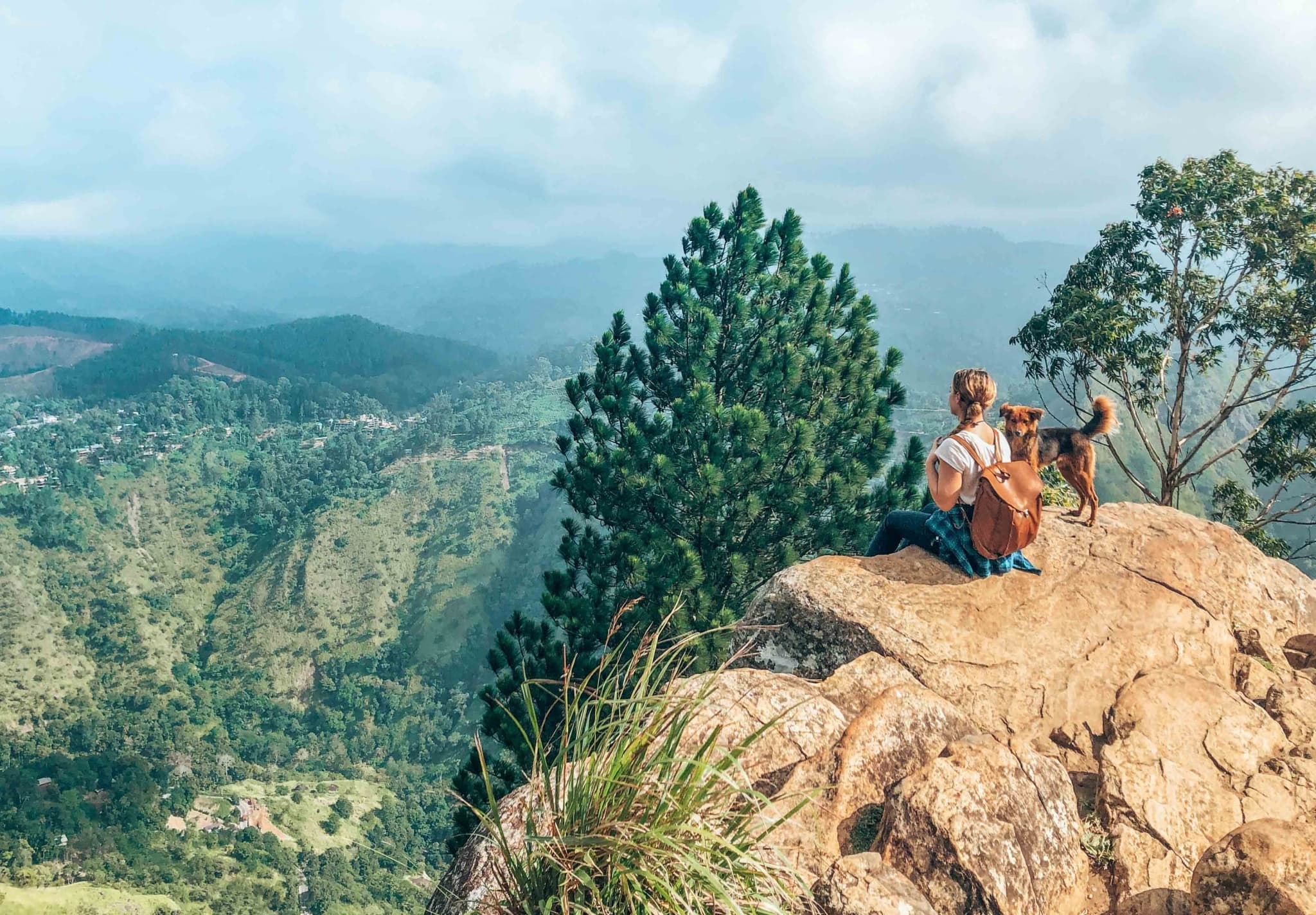 Ella Scenic Highlands Tour