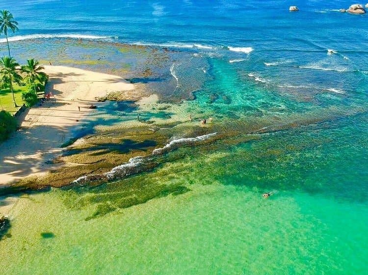 Hikkaduwa Coral Reef Experience