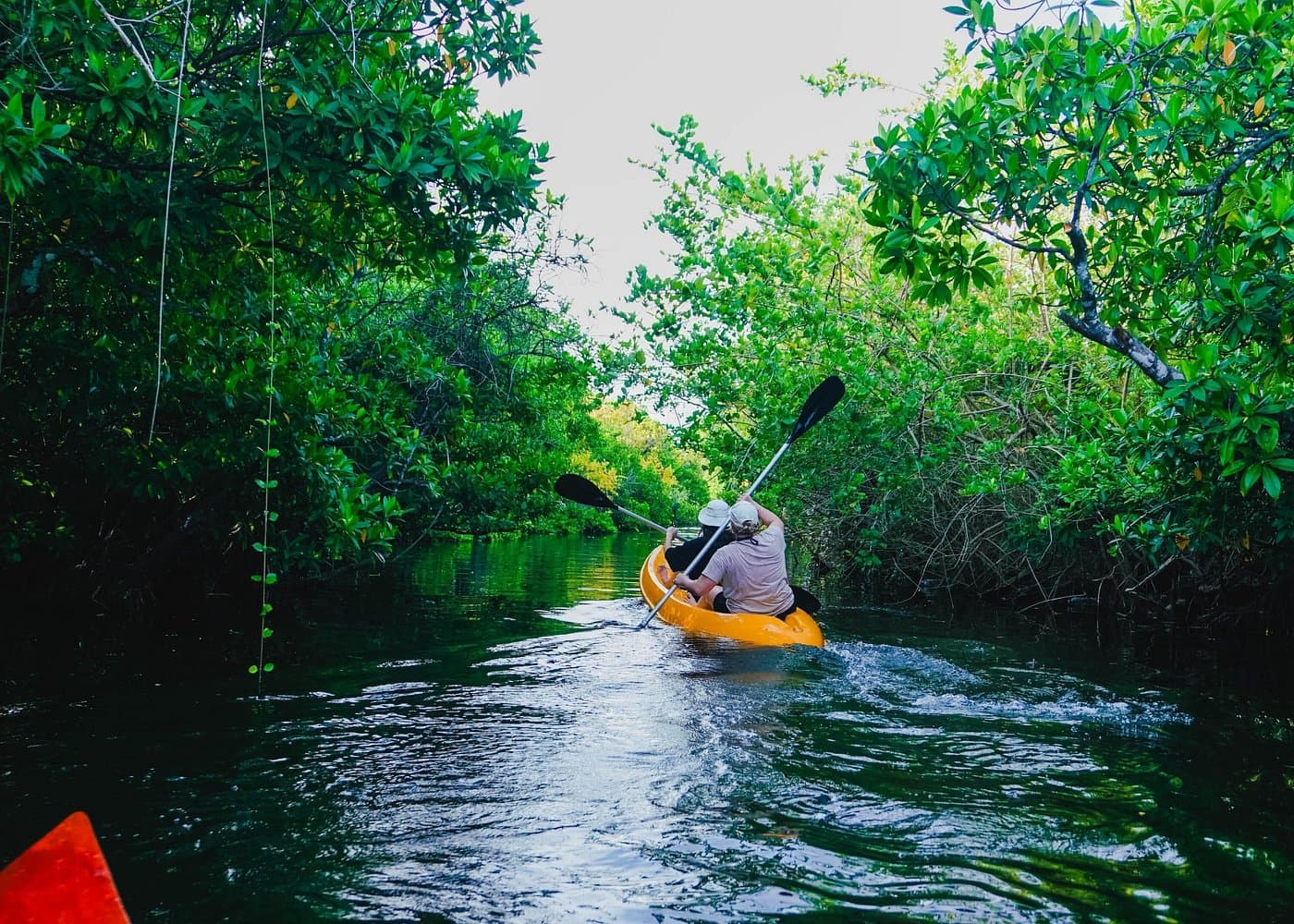 Kayaking and Lagoon Tours