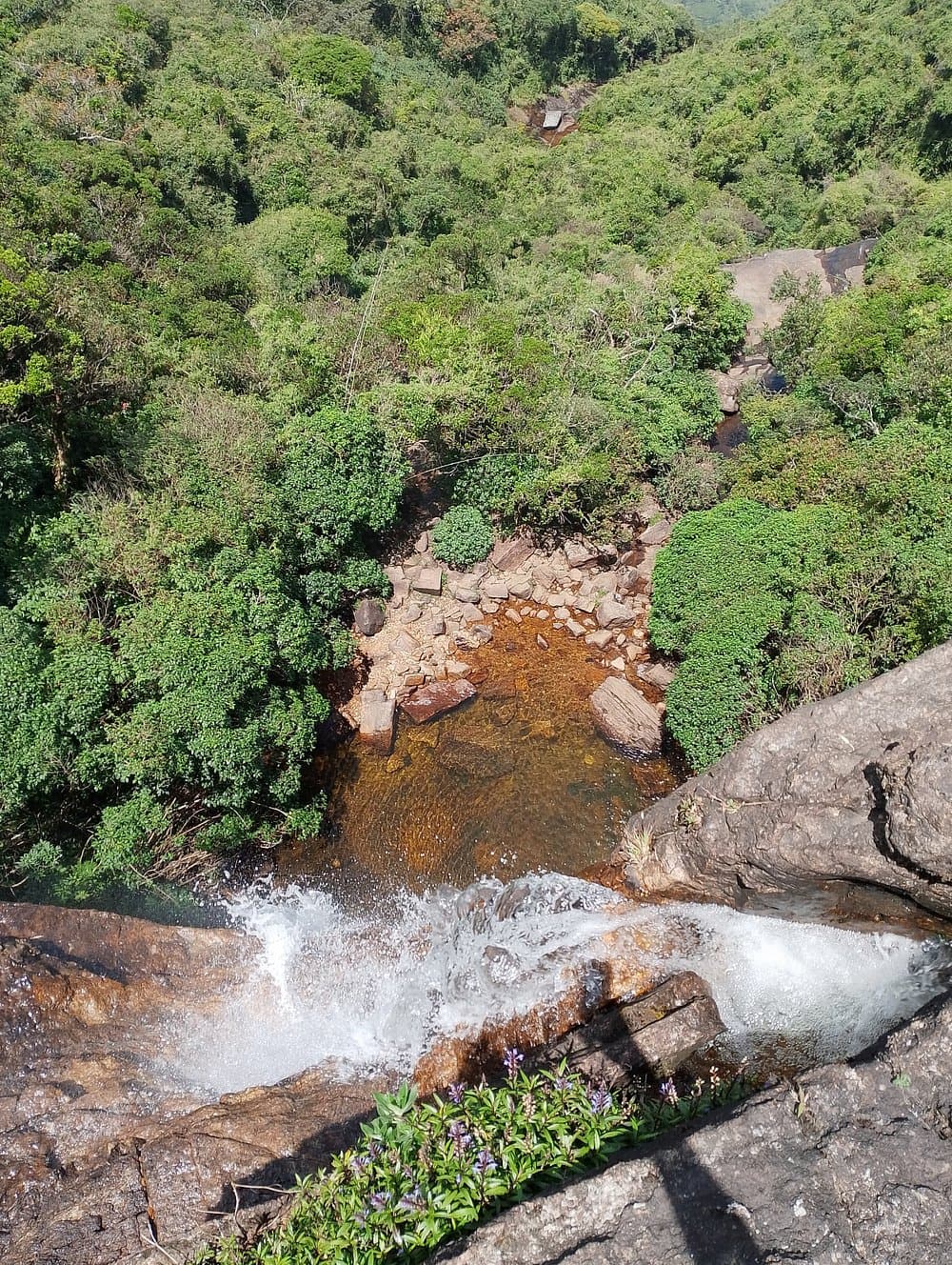 Knuckles View Nature Escape