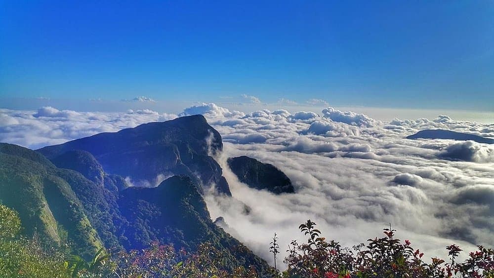 Knuckles View Nature Escape