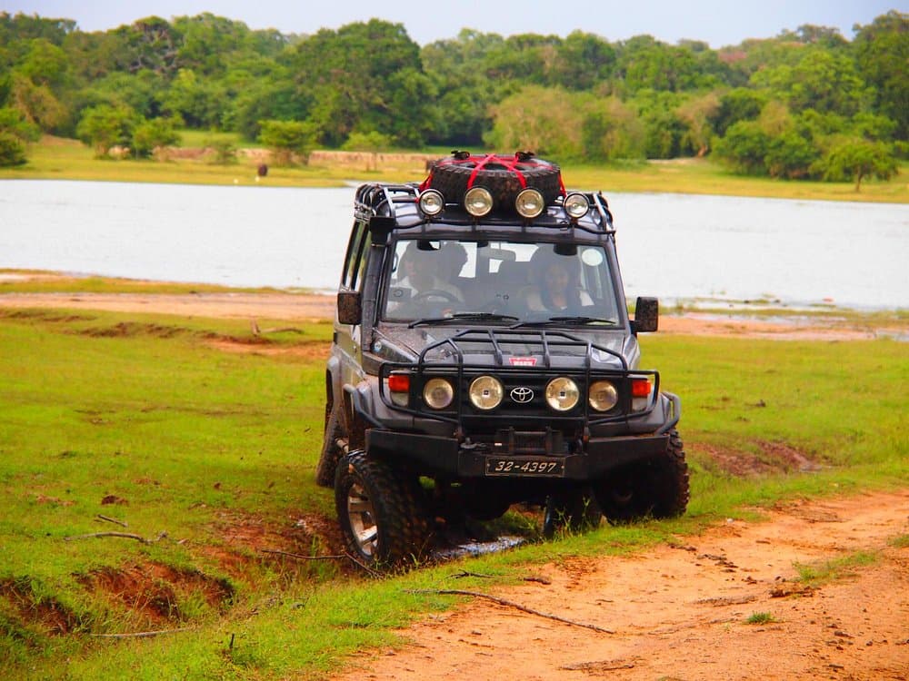 Kumana National Park Safari