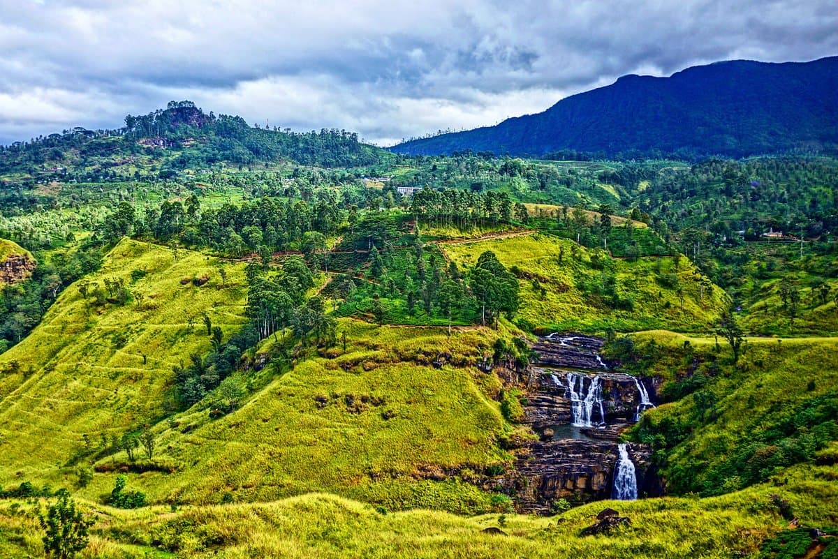 Nuwara Eliya Tea Country Experience