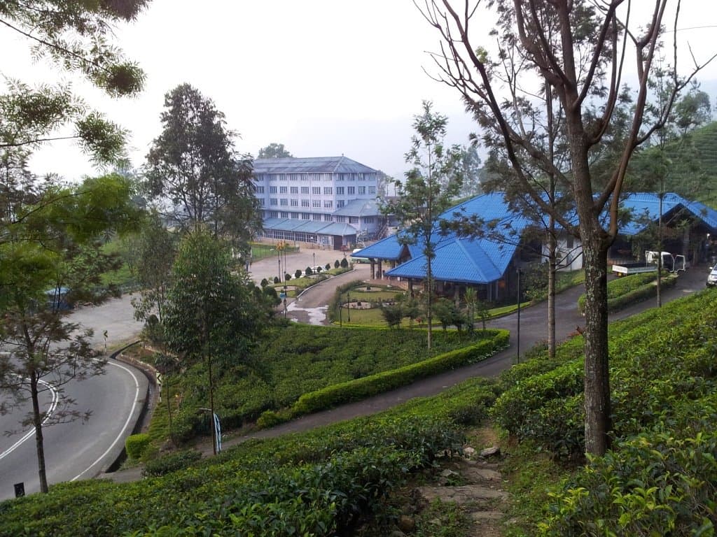 Nuwara Eliya Tea Country Experience