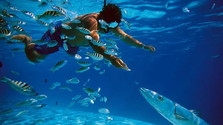 Snorkeling in Hikkaduwa and Pigeon Island