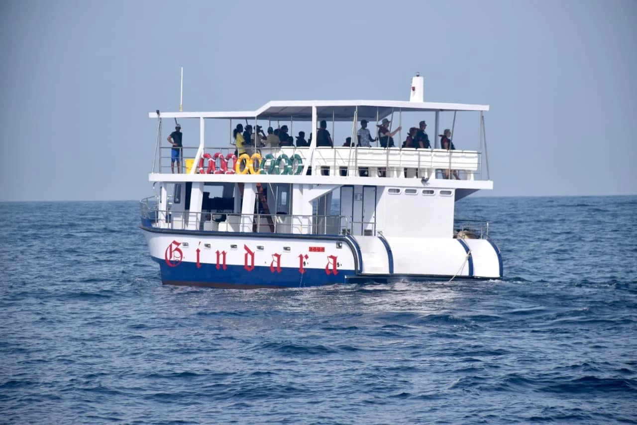 Mirissa Whale Watching Tour